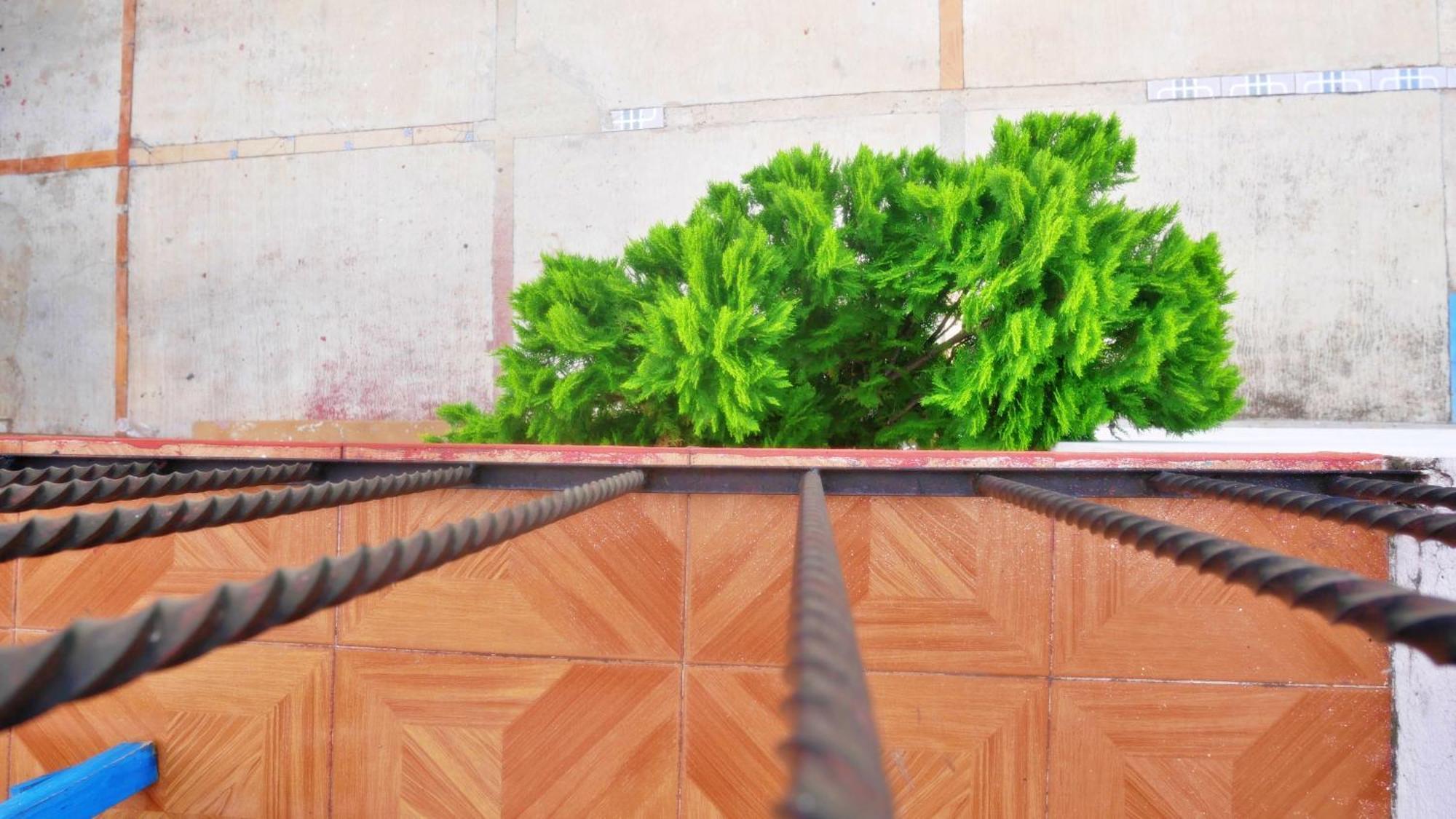 Ostello Casa El Mundo Oaxaca Esterno foto